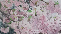 Cherry Blossoms by Patricia S. Hopkins